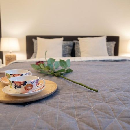 Central Bright Apartment Клуж-Напока Екстериор снимка